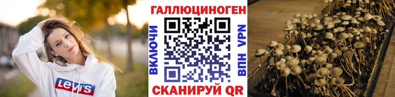 Псилоцибиновые грибы ЛСД  наркота  кракен ССЫЛКА  Петухово 